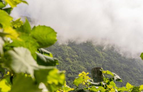 Coastal São Vicente Mountain & Sea View Hideaway with Free Parking - Foto 47