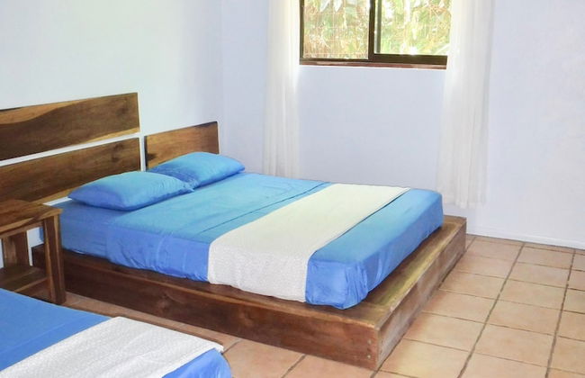 Bohemian Monkey - Foto 2