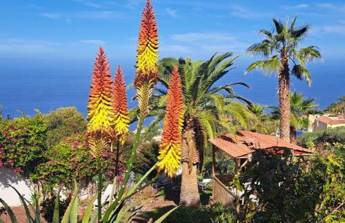 Villa Larnia de Tenerife - Foto 4