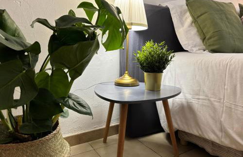 Studio garden and serenity, near Eurexpo and GroupamaStadium - Foto 12