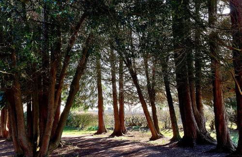 The Coach House- Canonbie - Foto 46