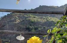 Casa da Madalena do Mar - Foto 46