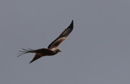 Oak & Hazel, Heath Row Barn - Foto 31