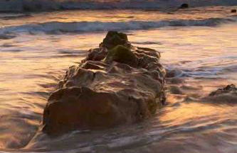 Apartamento Zahara De Los Atunes - Photo 39