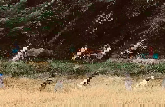 The Mugatiya - Foto 26