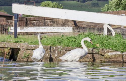 Waters Edge Lock View - Foto 30