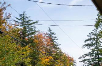 Cozy Cabin in Stratton Mountain & Mount Snow 10min - Photo 38