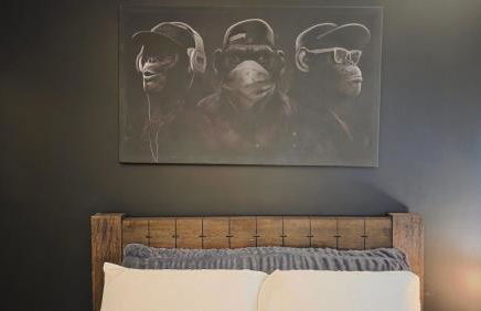 ANSI Splendor - Foto 21