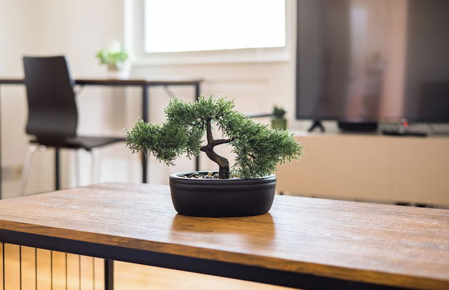 The Bridge Flats - Foto 31