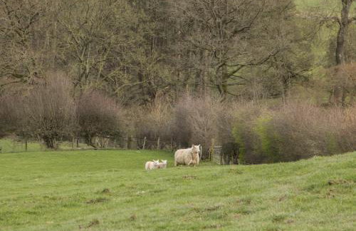 Waggoners Cottage - Foto 16