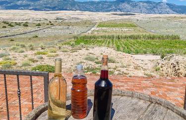 Izzi Mobile Home - Terra Park SpiritoS - Photo 46