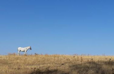 Abetarda CC - Foto 63