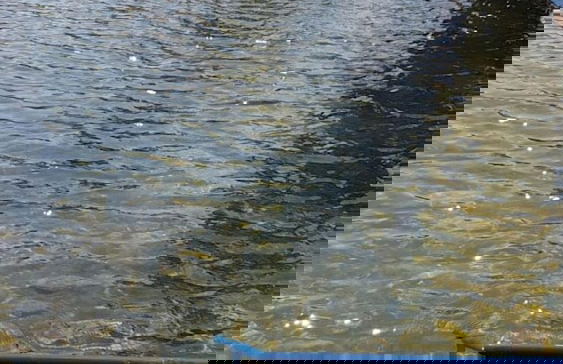 Itiquira Park Hotel - Foto 52