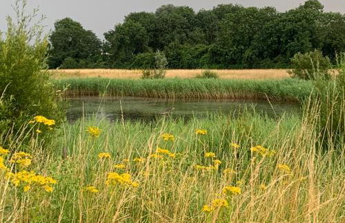 Magog View - Foto 15