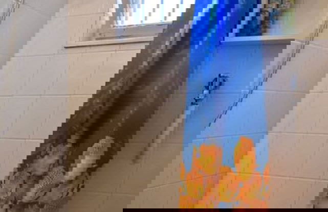 Cozy Family Cottage at the Lake Balaton - Foto 22