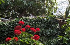 House by the sea - Foto 49