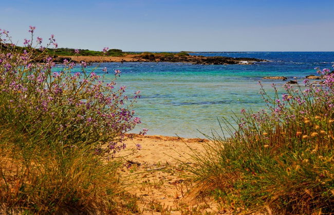 Complesso Azzurro 1 Near The Beach - Foto 22