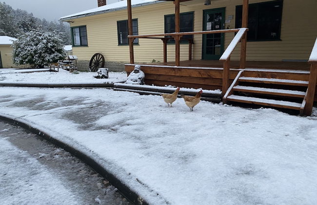 Giants Table and Cottages - Foto 51