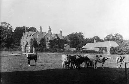 The Stables at Eriviat Hall - Foto 73