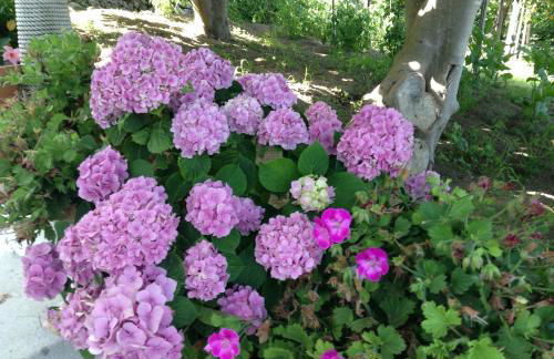 TENUTA CAVALIERE Breathtaking view - Foto 54