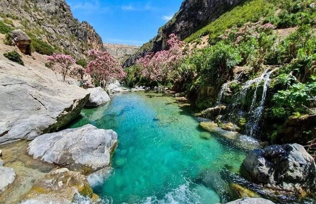 Luxurious Scandinavian-style pool & play - Photo 18