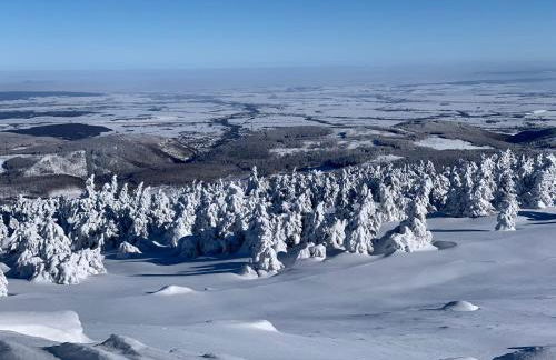 Gemütliche Ferienwohnung in Elbingerode/Harz - Foto 23