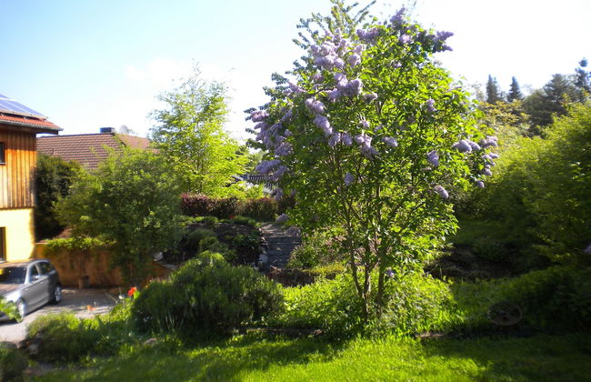 Eifelstüffje - Photo 10