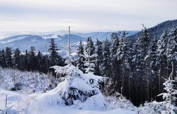 Sowie Chatki - domki z widokiem na Góry Sowie - Foto 60