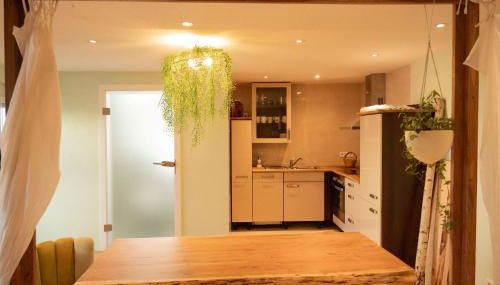 BioNestlein Wellness Apartments mit Biosauna und Wintergarten - Foto 5, minibar