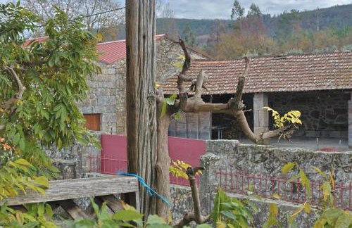 Casa De Vilar do Dão - Foto 39