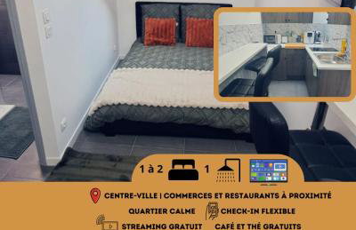 Le Petit Pierre à 5 min de la Gare Logements Insolites Nancy - Foto 2