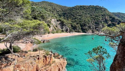 Casa Paradis Rosamar - Luxury villa with pool 1min walk from beach Costa Brava! - Foto 3