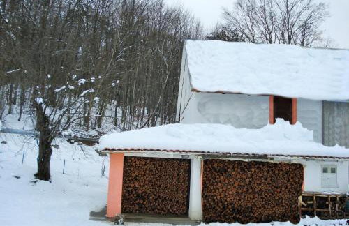 Holiday House Trnovac - Photo 39