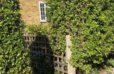 One bedroom Putney Village flat - Foto 23