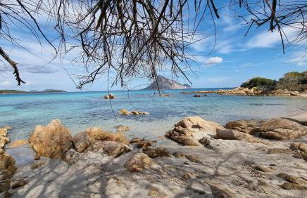 Villa Luna Rossa con piscina - Foto 42