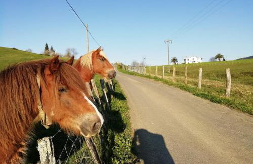 Agroturismo Pagoederraga - Foto 42
