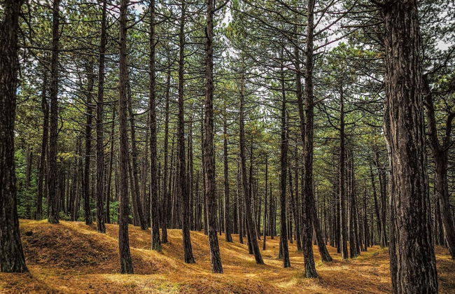 8 Person Holiday Home in Rorvig-by Traum - Foto 17