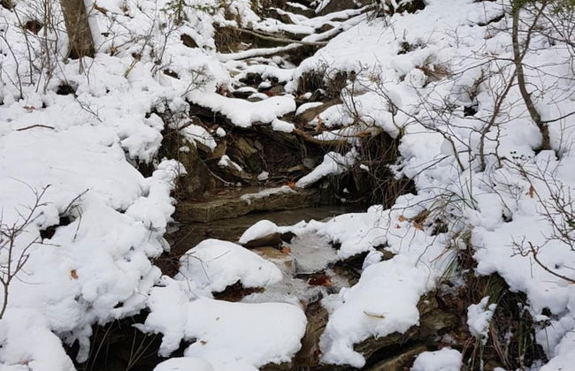 Alla Battuta - Foto 46