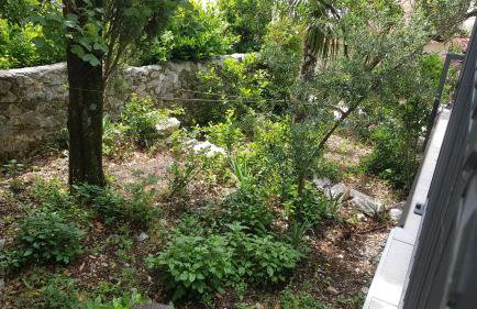 Apartman Nagy - Foto 24