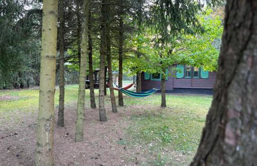 Leśny Zakątek - Foto 33