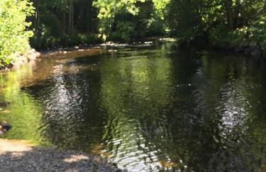 Stunning 3 Bed Riverside Cabin in Snowdonia - Photo 32