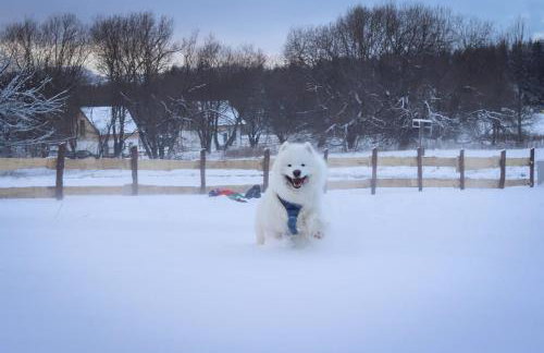 Domek Jak z Obrazka - Foto 43