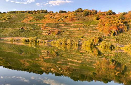 Neue Loft im alten Kelterhaus - Urlaub im Wein- und Ferienort Bekond - Foto 12