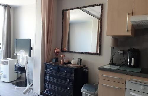 T2 Bord de mer avec jardin et piscine - Foto 23