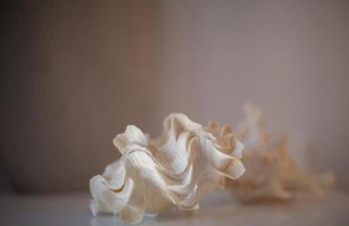 Apartments Frenkie - Photo 42