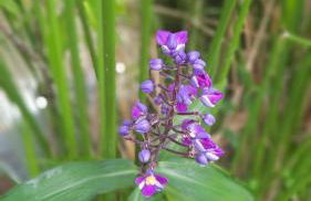 Pousada Rio Gouveia - Foto 82
