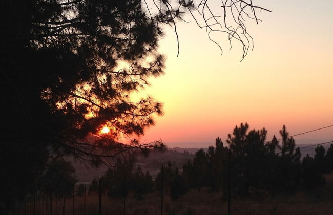 The Cradle Rest - Foto 33