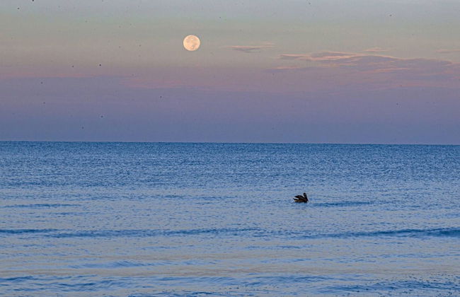 Tranquility - Waterfront Villa With Pool Dock - Photo 80