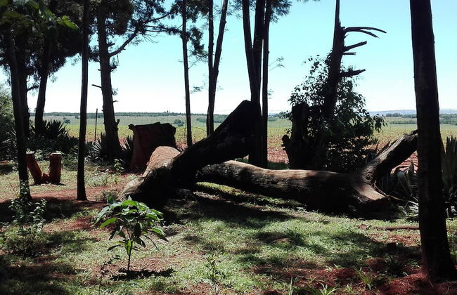 Woodland Gardens - Photo 77