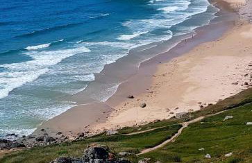 Les hortensias de papy - Foto 31